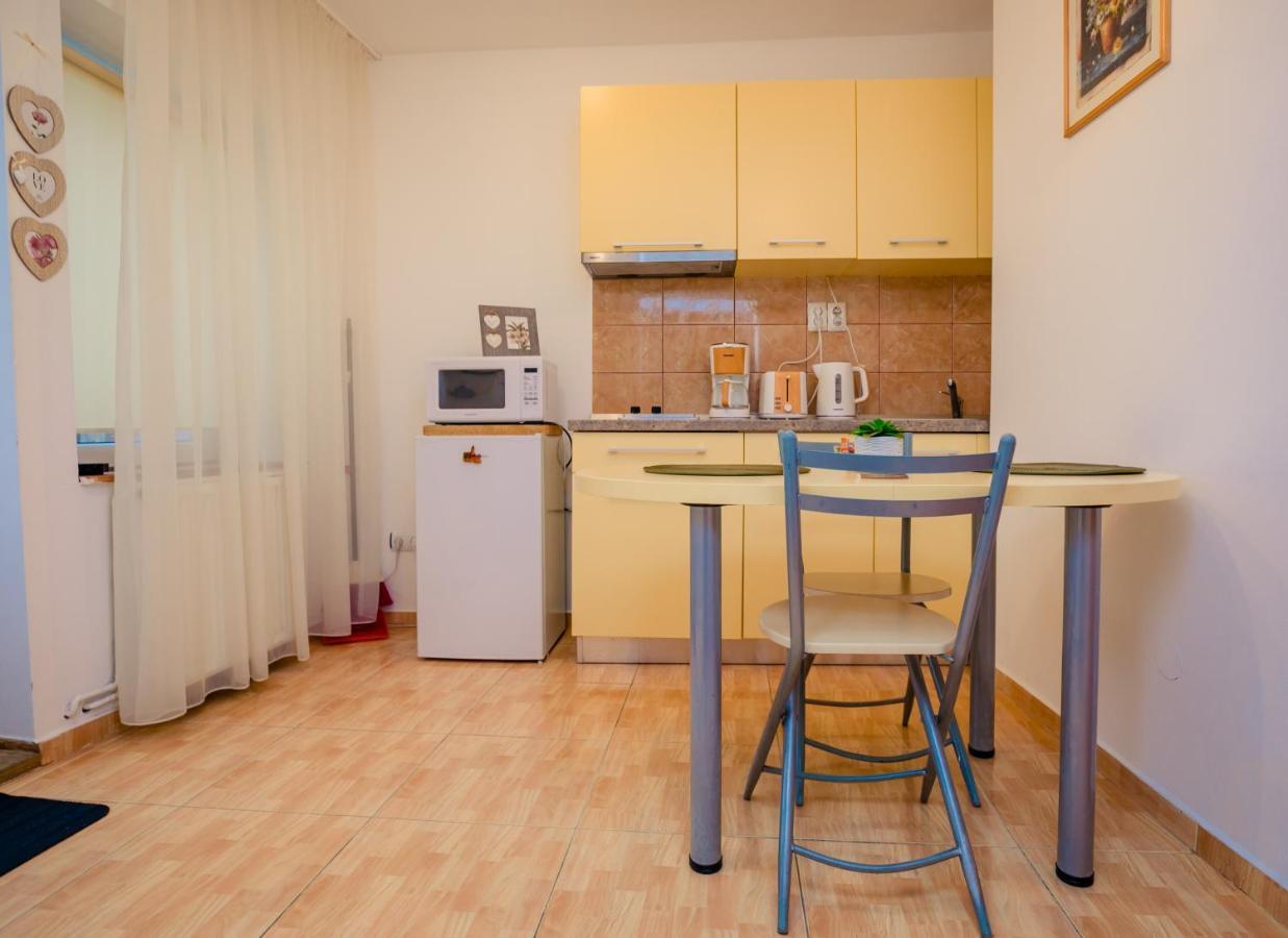 Studio Anisia Appartamento Sibiu Esterno foto