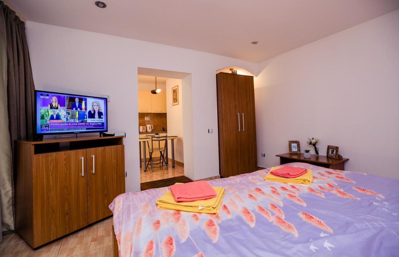 Studio Anisia Appartamento Sibiu Esterno foto